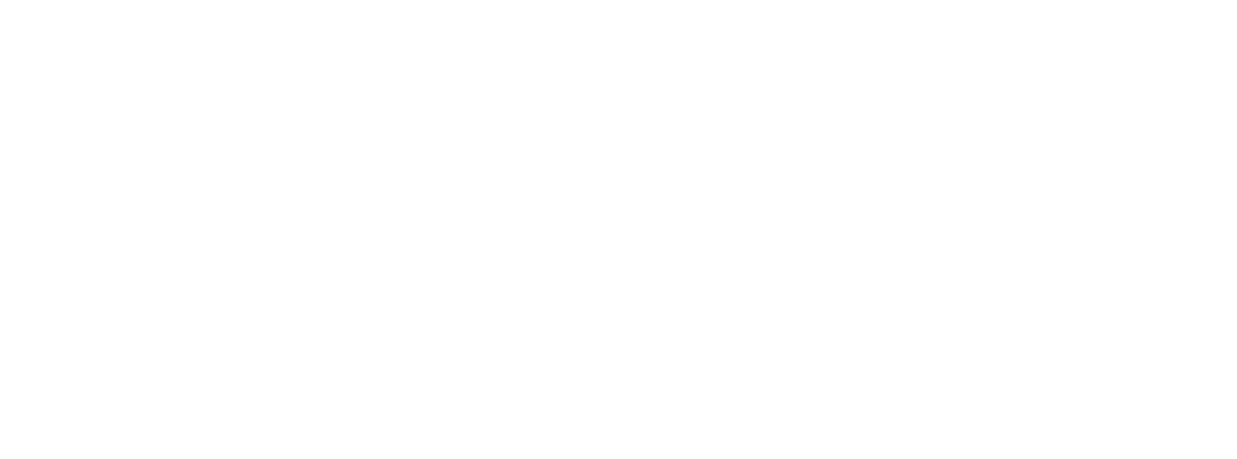 logo ikon GENİŞ beyaz